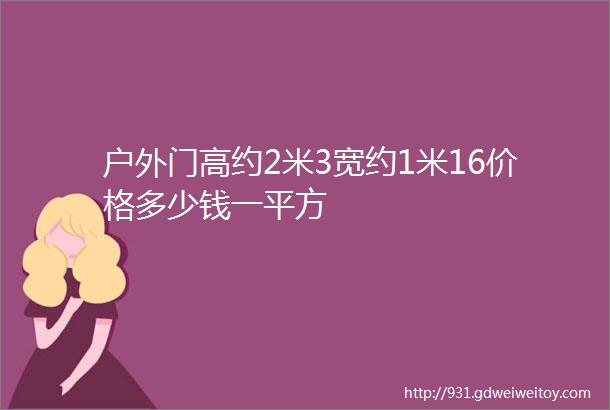 户外门高约2米3宽约1米16价格多少钱一平方